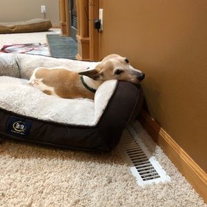 Meet your Posher, Macmacy